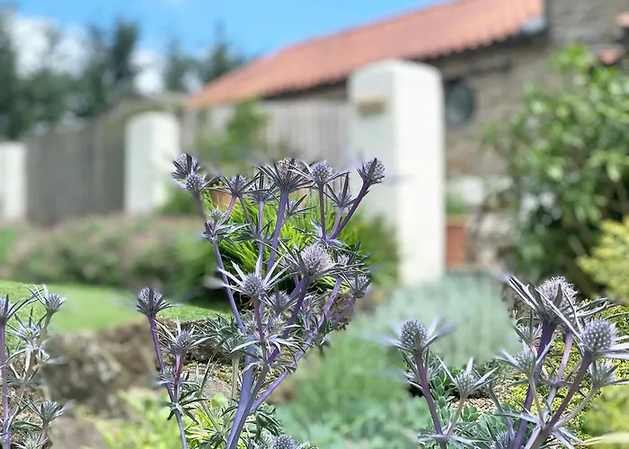 Wheatsheaf - 80021 Σπίτι διακοπών Sawdon