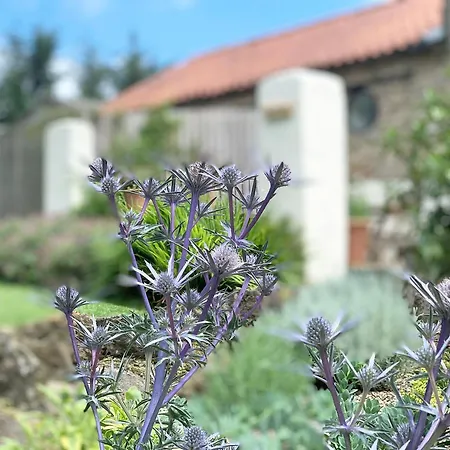 度假居 Wheatsheaf - 80021 *