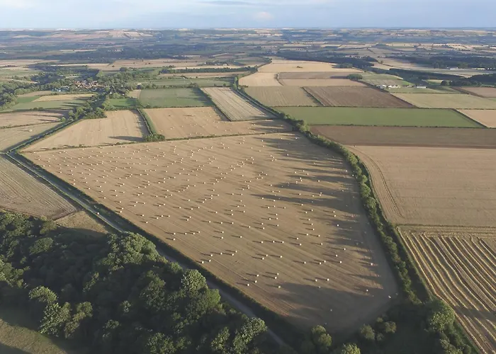 Wheatsheaf - 80021 *